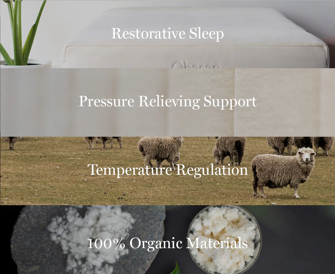 Organic Kids Mattress - Image 4